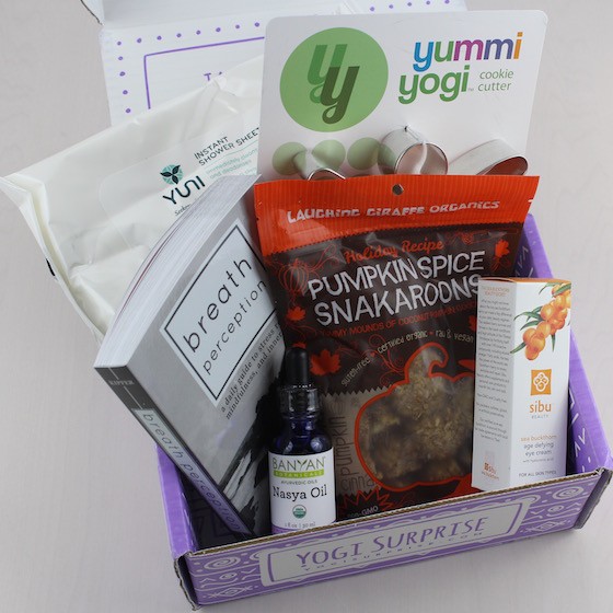 yogi-surprise-nov-2015-.items