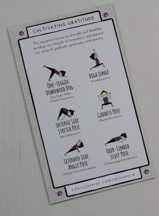 yogi-surprise-nov-2015-poses