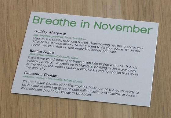 Breathe In Box Subscription Box Review November 2015 - info