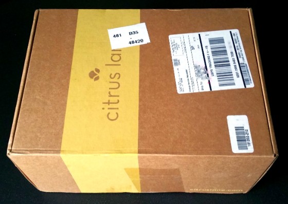 Citrus Lane Subscription Box Review December 2015 - BOX