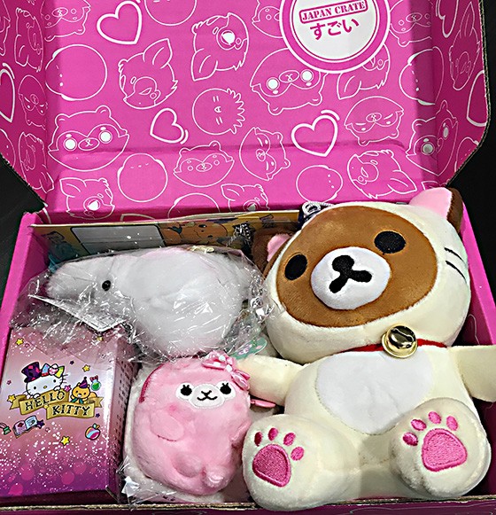 Doki Doki by Japan Crate Subscription Box Review December 2015 - 2