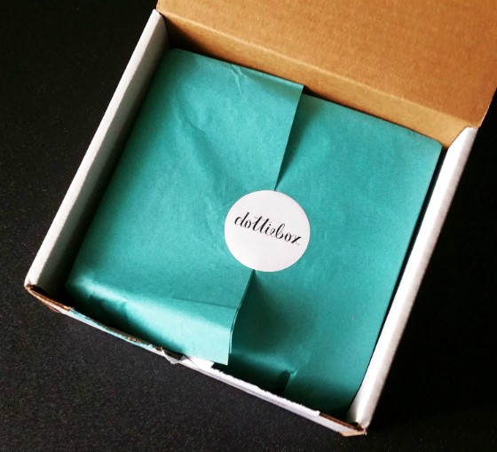 Dottie Box Subscription Box Review December 2015 - packaging