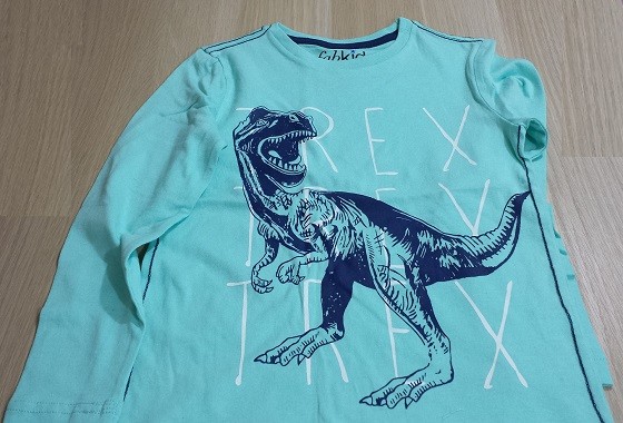 FabKids Boys Subscription Review & Coupon December 2015 - aqua-shirt