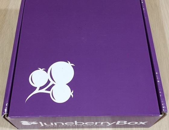 Juneberry Subscription Box Review – December 2015