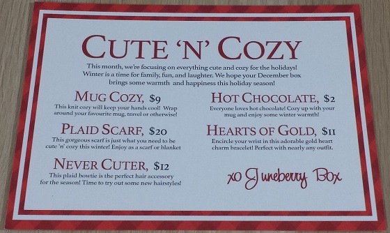 Juneberry Subscription Box Review December 2015 - info