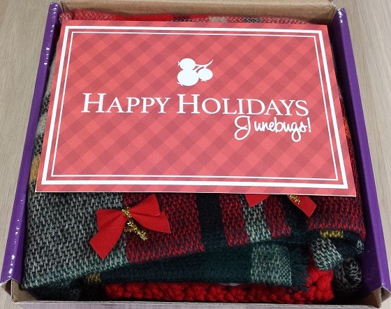 Juneberry Subscription Box Review December 2015 - inside