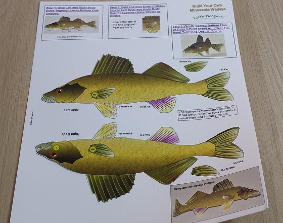 Little Passports USA Subscription Box Review November 2015 - fish