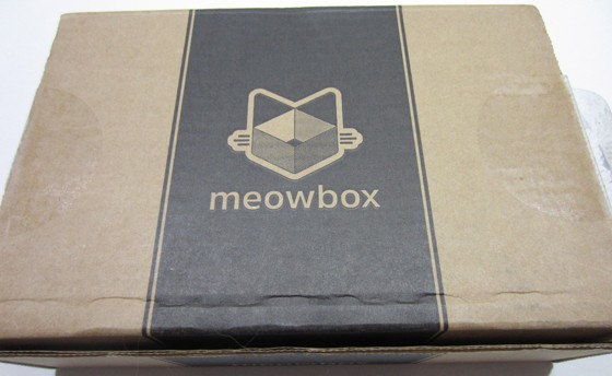 Meowbox Subscription Box Review November 2015 - box