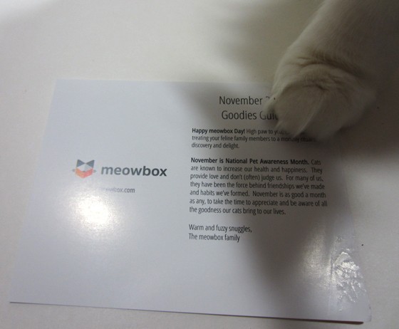 Meowbox Subscription Box Review November 2015 - card1