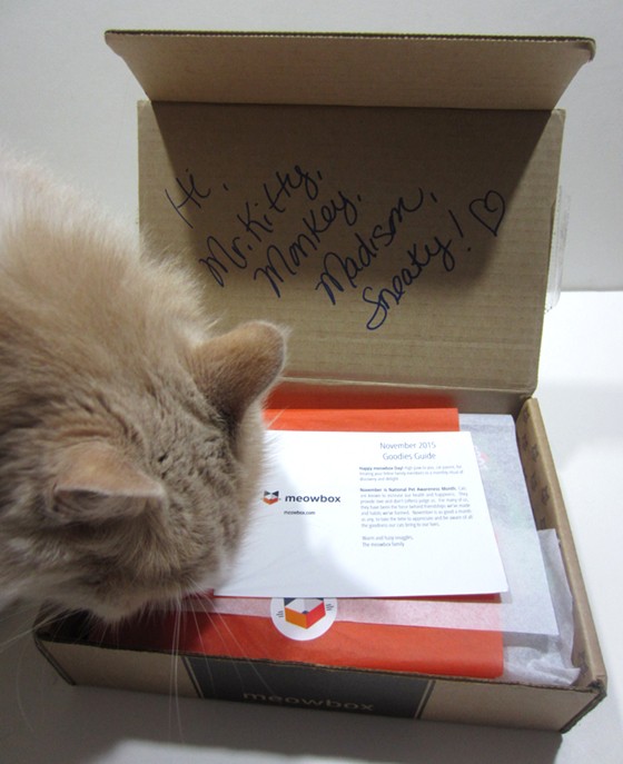 Meowbox Subscription Box Review November 2015 - lid