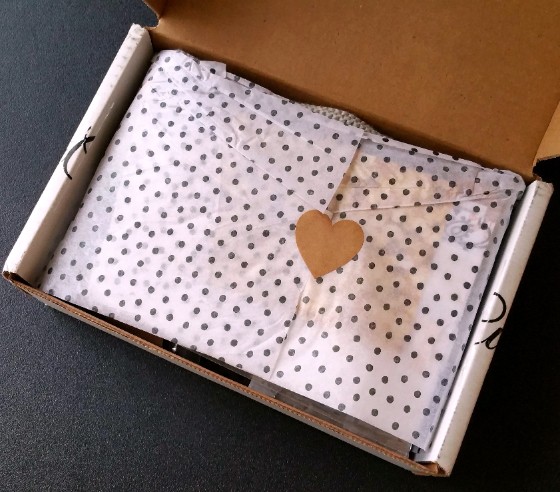Mission Cute Subscription Box Review December 2015 - packaging