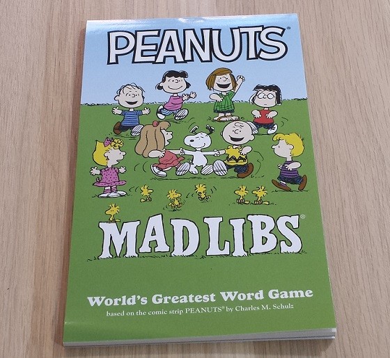Nerd Block Junior Boys Subscription Box Review November 2015 - madlibs