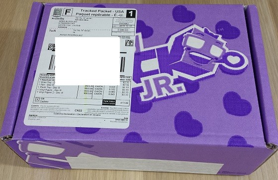 Nerd Block Junior Girls Subscription Box Review December 2015 - box