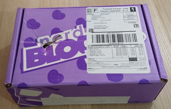 Nerd Block Junior Girls Subscription Box Review November 2015 - box