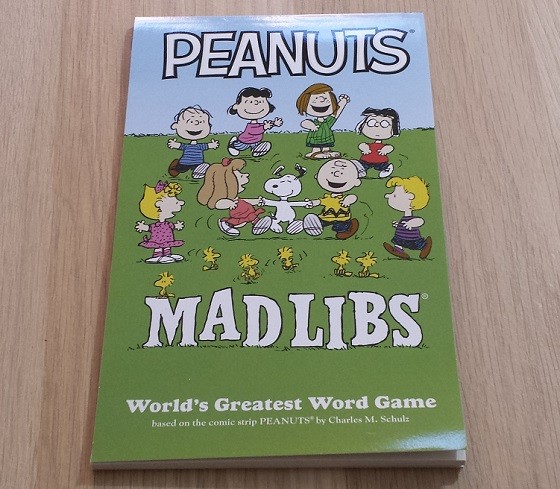 Nerd Block Junior Girls Subscription Box Review November 2015 - madlibs