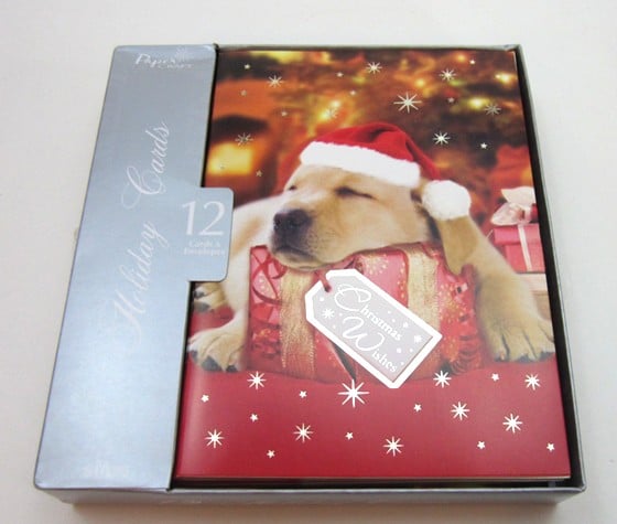 Pet Treater Subscription Box Review December 2015 - greetingcards