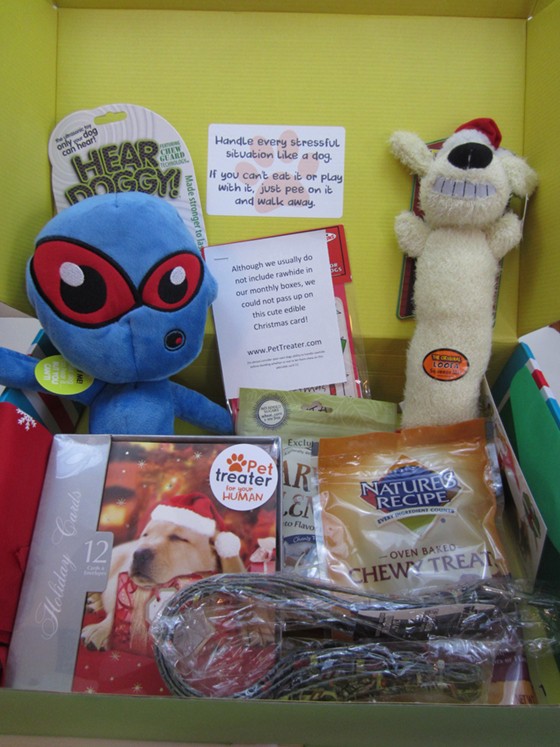 Pet Treater Subscription Box Review December 2015 - inside