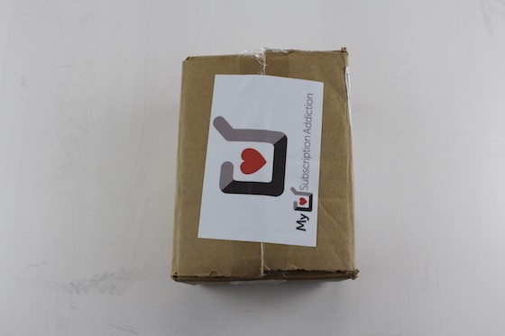 Pop In A Box Subscription Box Review December 2015 - box