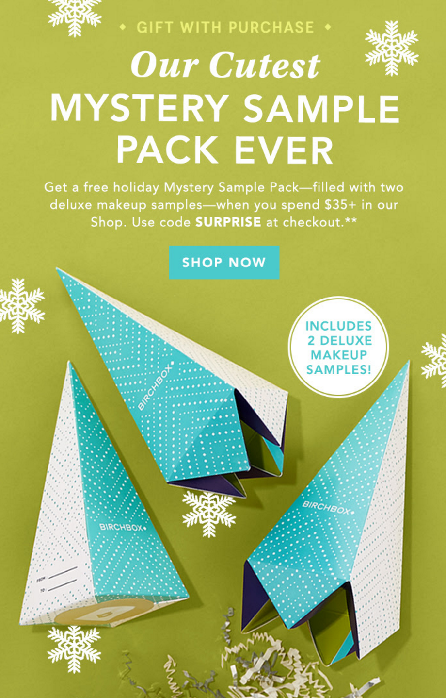2 Bonus Deluxe Makeup Samples with Birchbox Shop Purchase