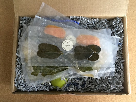 Shaker & Spoon Subscription Box Review November 2015 - Opening