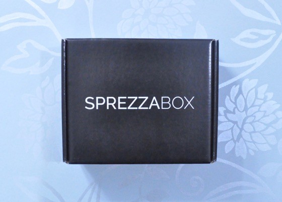 SprezzaBox Subscription Box Review + Coupon December 2015 - 1