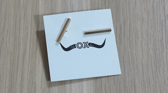 The Ox Box Subscription Review December 2015 - earrings