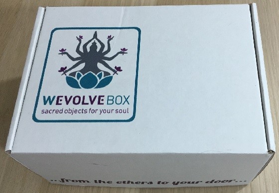 WEvolve Subscription Box Review December 2015 - box