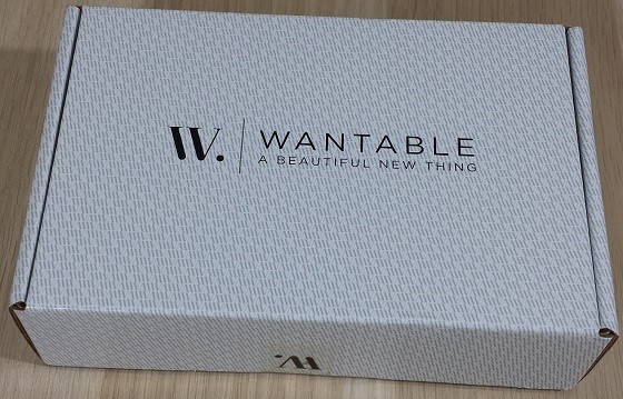 Wantable Accessories Subscription Box Review December 2015 - box