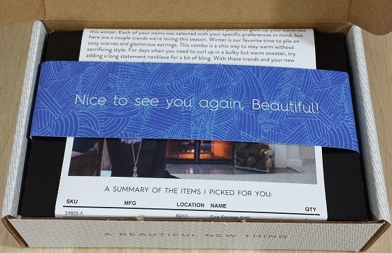 Wantable Accessories Subscription Box Review December 2015 - inside