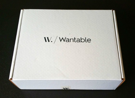 Wantable Intimates Subscription Box Review December 2015 - BOX