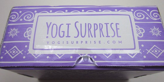 Yogi Surprise Holiday Bonus Box Review December 2015 - box