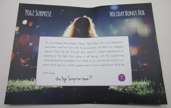 Yogi Surprise Holiday Bonus Box Review December 2015 - card1