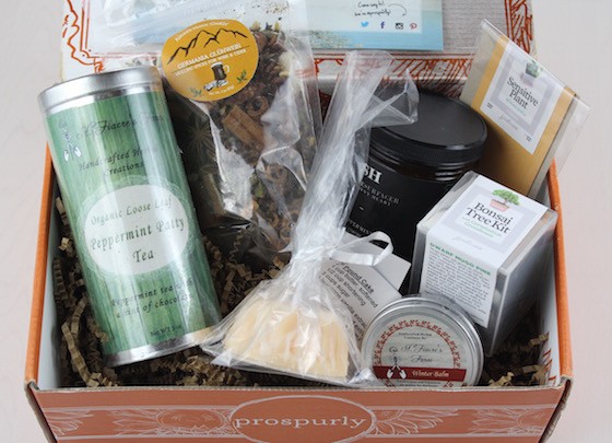 prospurly-dec-2015-items
