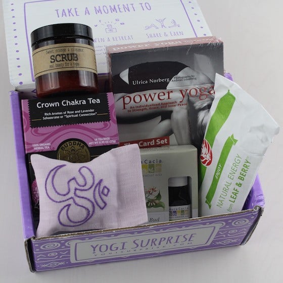 yogi-surprise-dec-2015-items