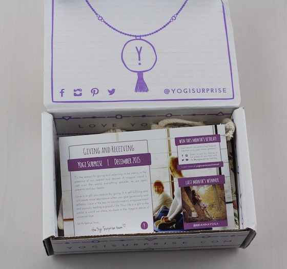 yogi-surprise-jewelry-dec-2015-