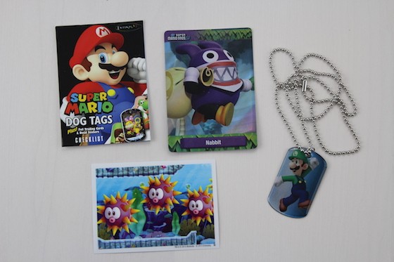 1UP Box Subscription Box Review + Coupon January 2016 - dog tags inside