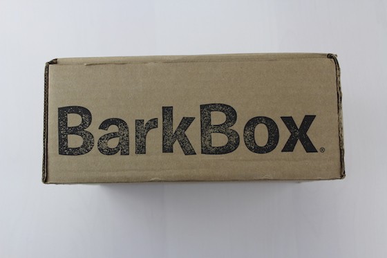 BarkBox Subscription Box Review & Coupon January 2016 - box