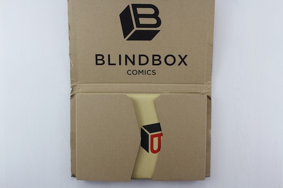 Blindbox Comics Subscription Box Review + Coupon January 2016 - inside