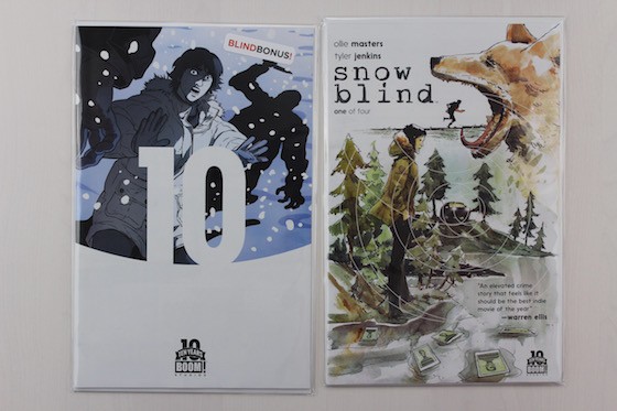 Blindbox Comics Subscription Box Review + Coupon January 2016 - snowblind and bonus