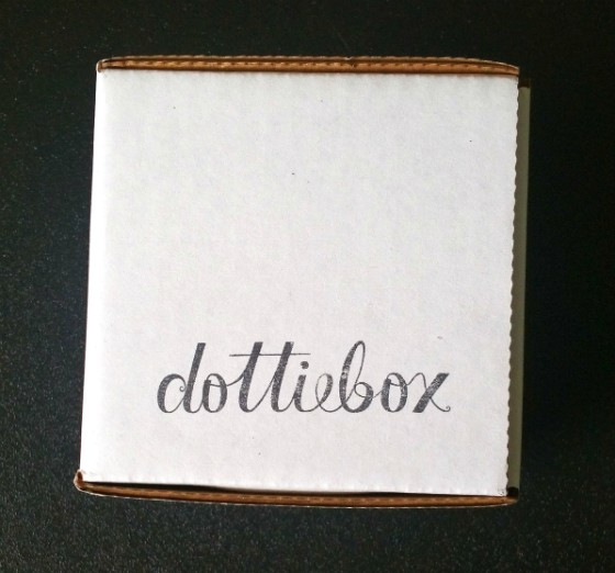 Dottie Box Mini Subscription Box Review – January 2016