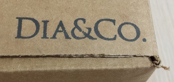 Dia & Co. Subscription Review January 2016 -