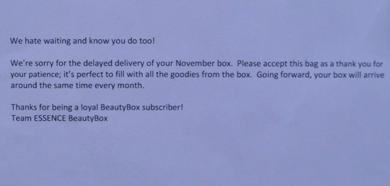 Essence Beauty Box Subscription Box Review December 2015 - 19