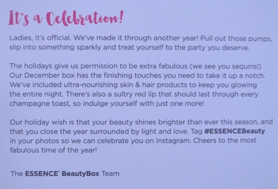 Essence Beauty Box Subscription Box Review December 2015 - 6