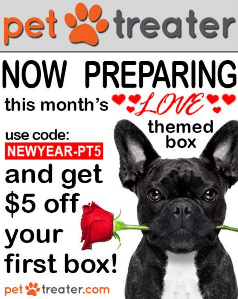 $5 Off or Free Dog Bed with Your First Month of Pet Treater!