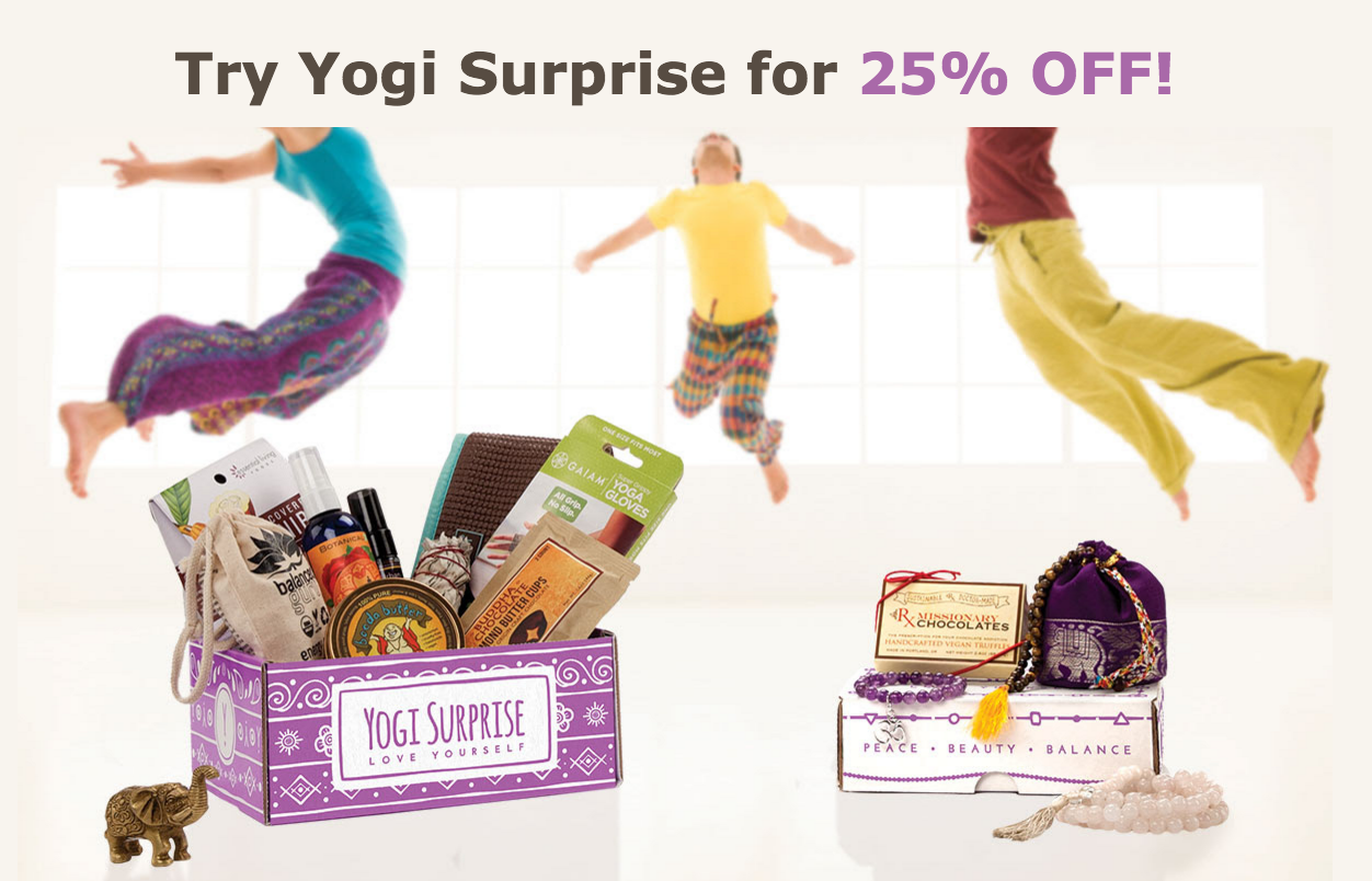 Today Only – 25% Off Yogi Surprise + February 2016 Box Spoilers
