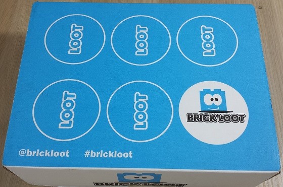 Brick Loot Subscription Box Review – January 2016