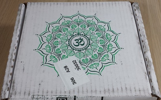 buddhibox-jan
