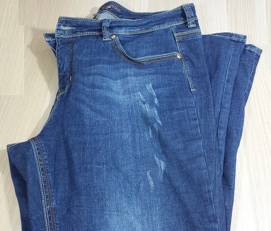 gwynnie-bee-jan-jeans