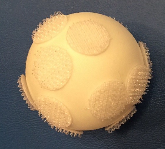 koala-crate-jan-snowball-2