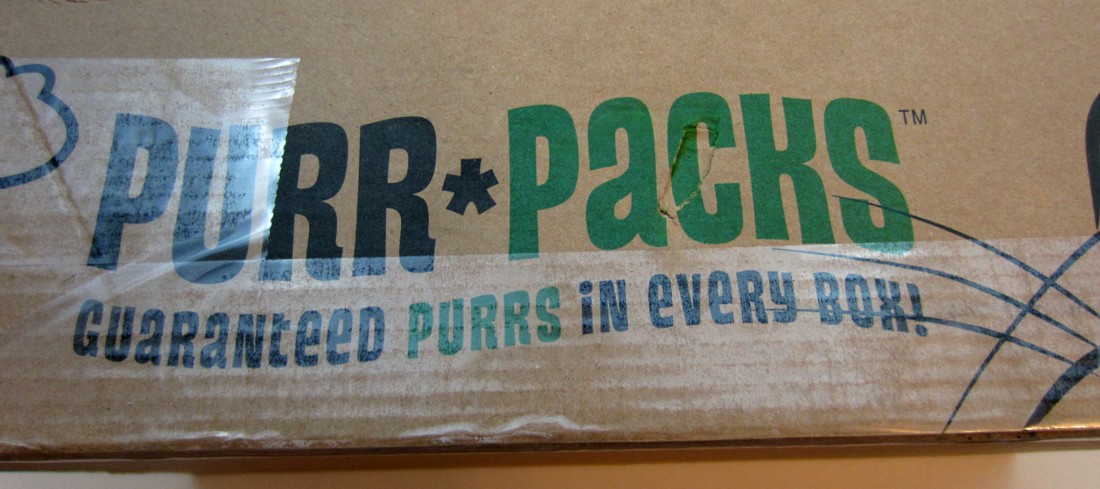 Purr Packs Cat Subscription Box Review – January 2016